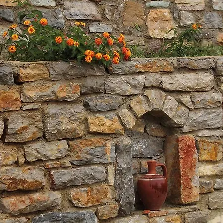 Tatil Evi Begonvilla *