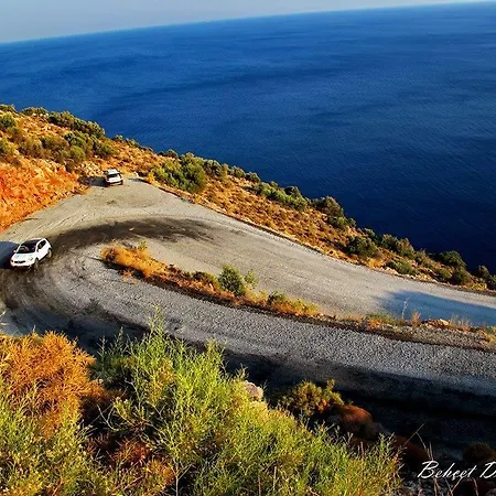 Begonvilla * Mesudiye