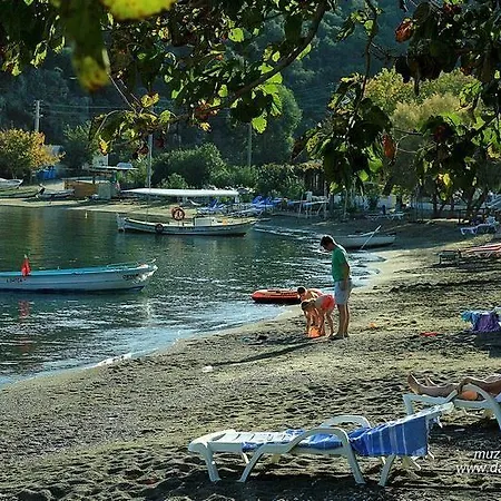 Begonvilla *