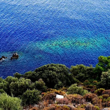 Begonvilla Mesudiye