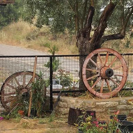 Begonvilla Nyaraló Mesudiye