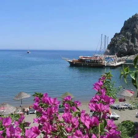 Begonvilla Mesudiye