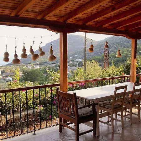 Begonvilla Mesudiye