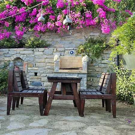 Begonvilla * Mesudiye